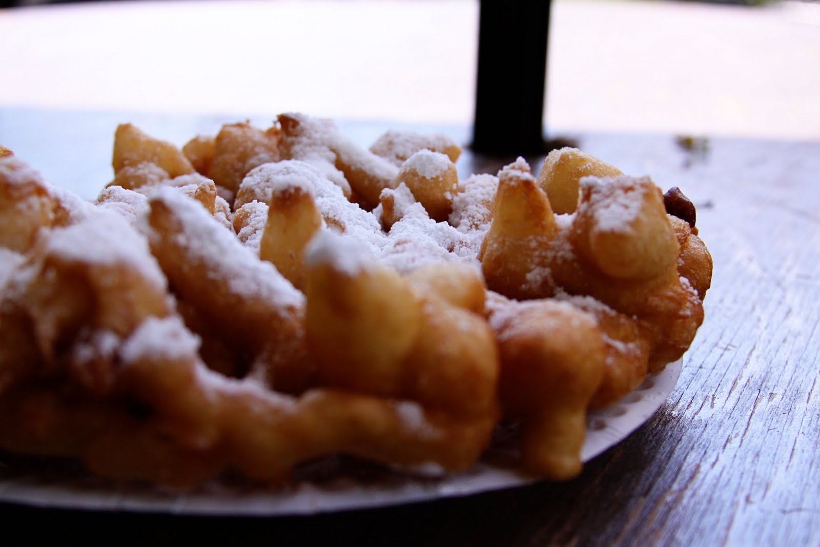 Don't judge me. I only ate the funnel cake.