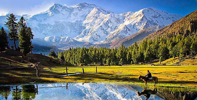 Fairy Meadows is a base camp of which peak?