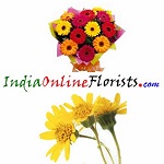 https://www.indiaonlineflorists.com/