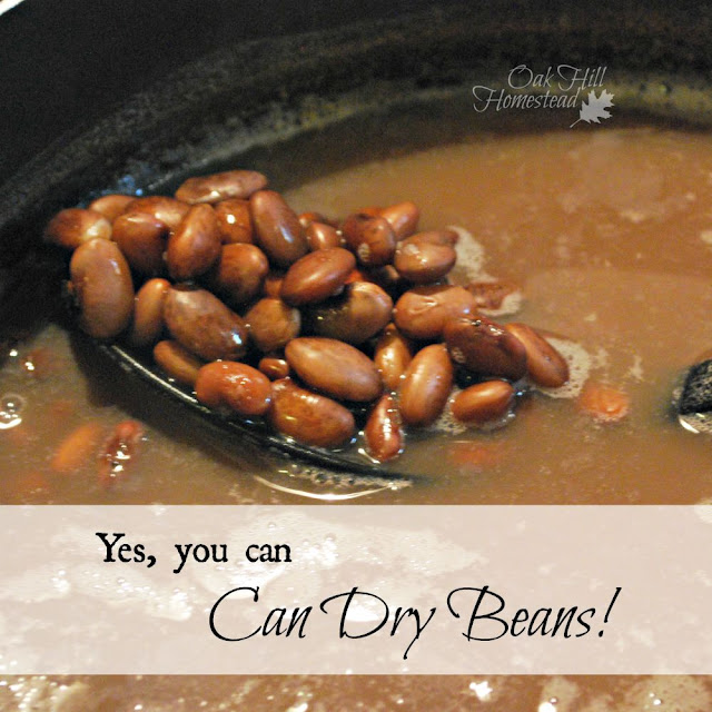 Yes, you can can dry beans!