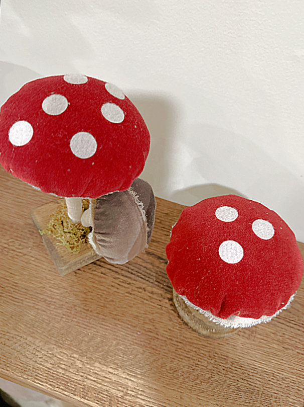 velcro mushroom spots