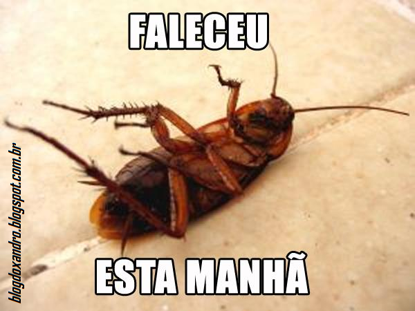 faleceu.png (600×450)