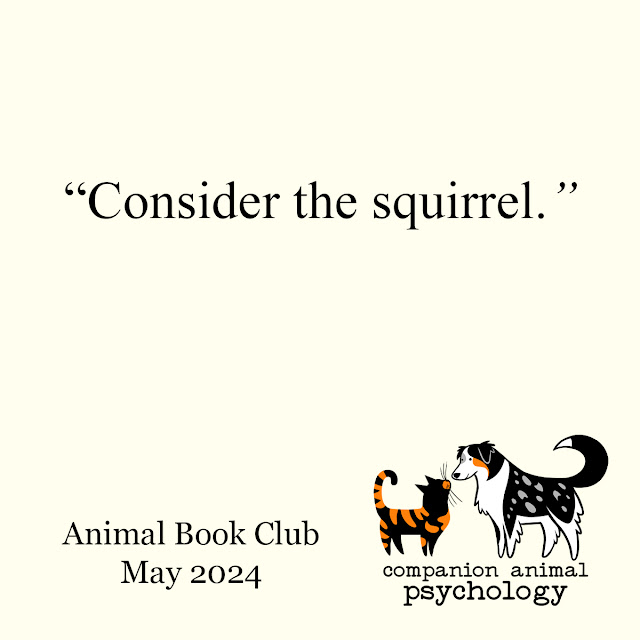 "Consider the squirrel." And the Companion Animal Psychology logo.