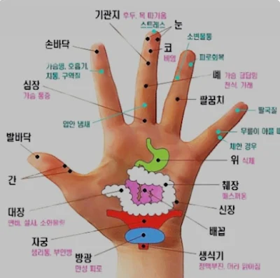 손바닥 지압의 주요 효과