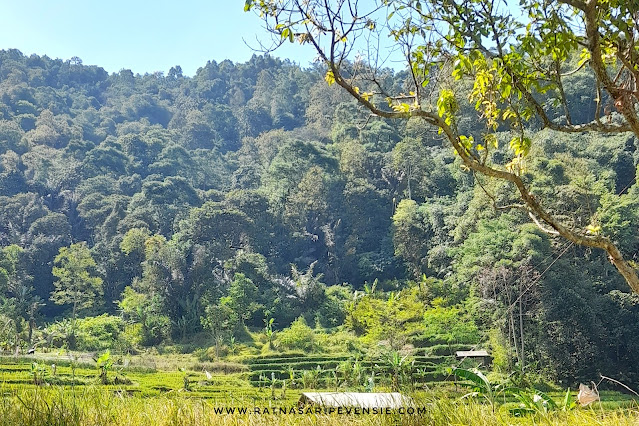 Bergerak Bersama Kaum Muda Untuk Menjaga Bumi Indonesia