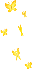 Borboleta (151)