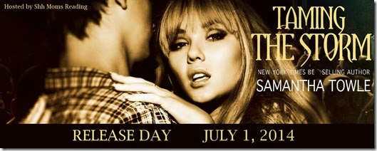 releaseday_TamingTheStorm_banner