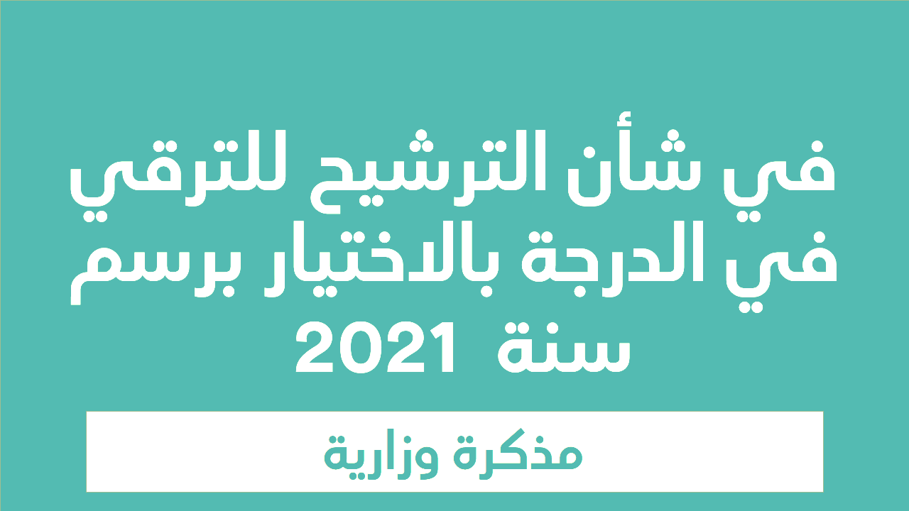 خدمات الأعمال،سندات كفالة،كازينو،محامي، تأمينات، الغاز و الكهرباء،النقاهة،العلاج، زراعة الشعر،دورات تكنولوجيا المعلومات