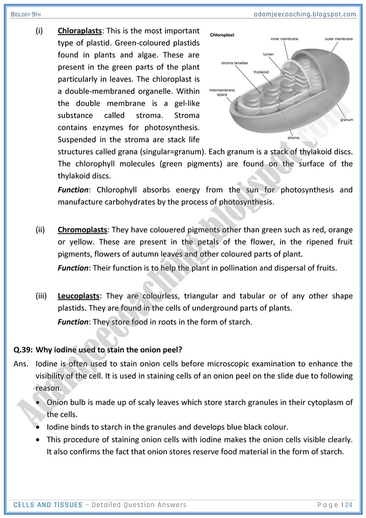 cells-and-tissues-detailed-question-answers-biology-9th