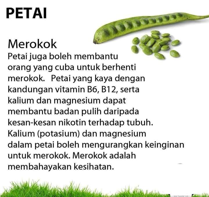 11_15 - Cik Azizah