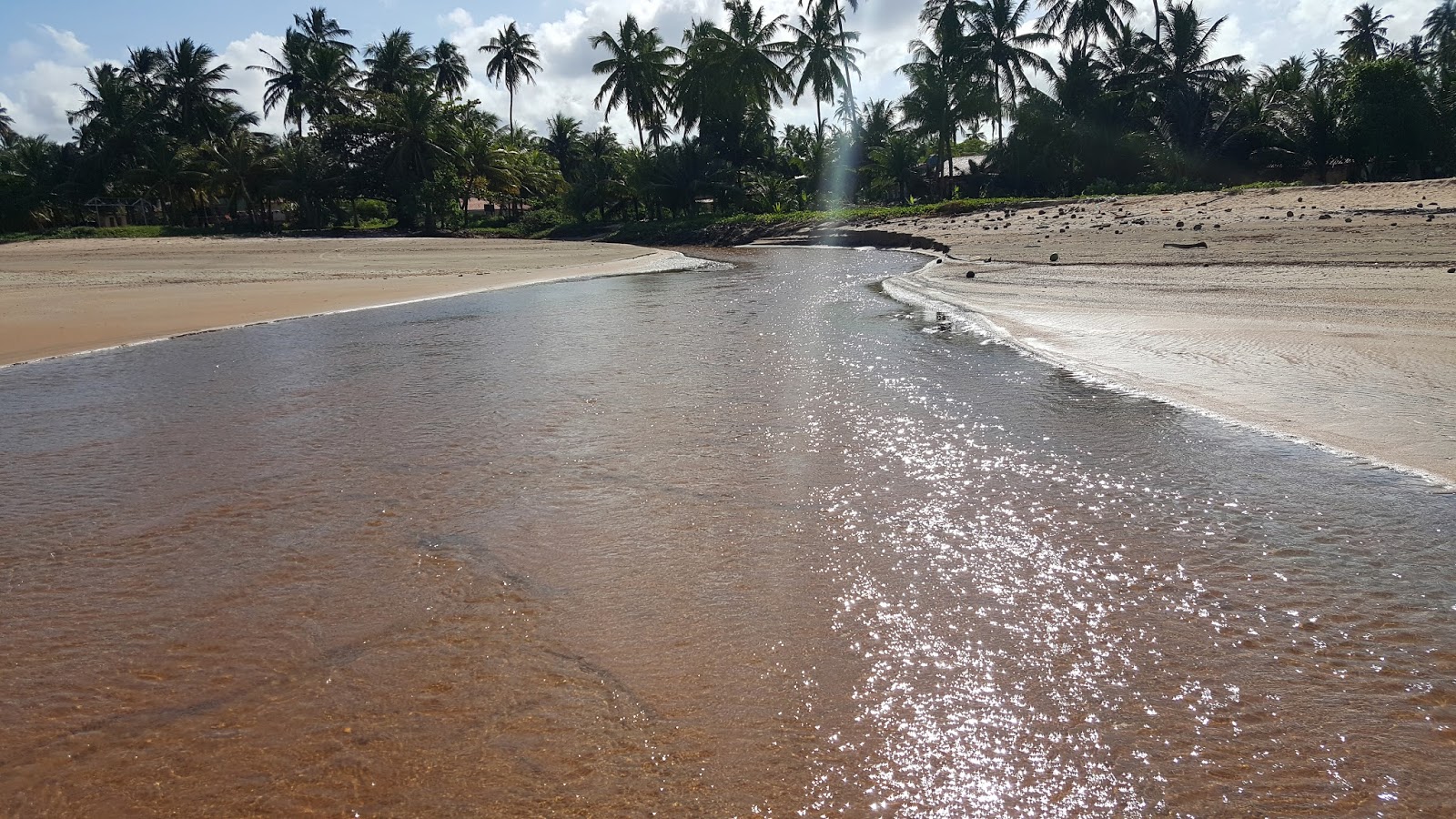 Rio desaguando na Praia de Japaratinga em Alagoas