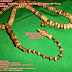 Tasbih Kayu Gaharu Zebra Model Pakistan Bulat Kapsol Propil Ukuran 99 Biji Diameter 10 mm by : Kerajinan Agarwood Kayu Gaharu