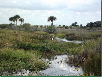 Kissimmee Day 4 095