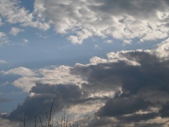 DSCN0315