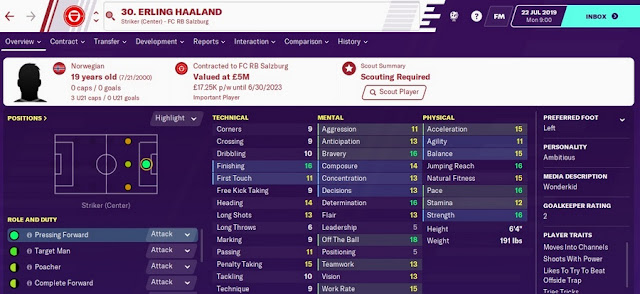 Football Manager (FM20)