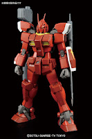 Bandai MG 1/100 Gundam Amazing Red Warrior English Manual & Color Guide