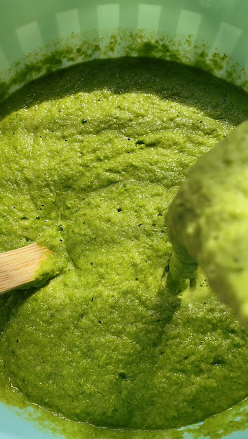 Video Tutorial of how to make green vegetable mash for dogs