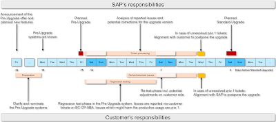 SAP BTP ABAP Environment – Pre-Upgrade Option for Release 2402