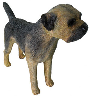 pictures of border terrier