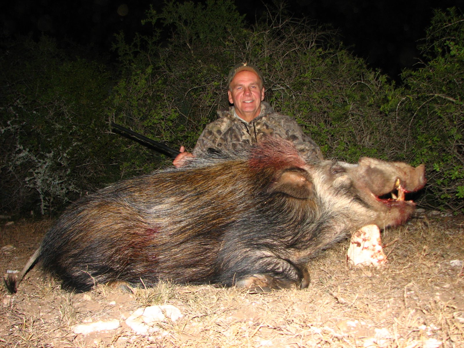 Eardley's Bushpig: The Southern Africa (SA) HOG SLAM