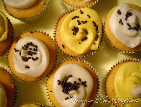 cupcake