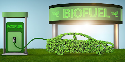 Biofuel Bahan Bakar Masa Depan yang Ramah Lingkungan