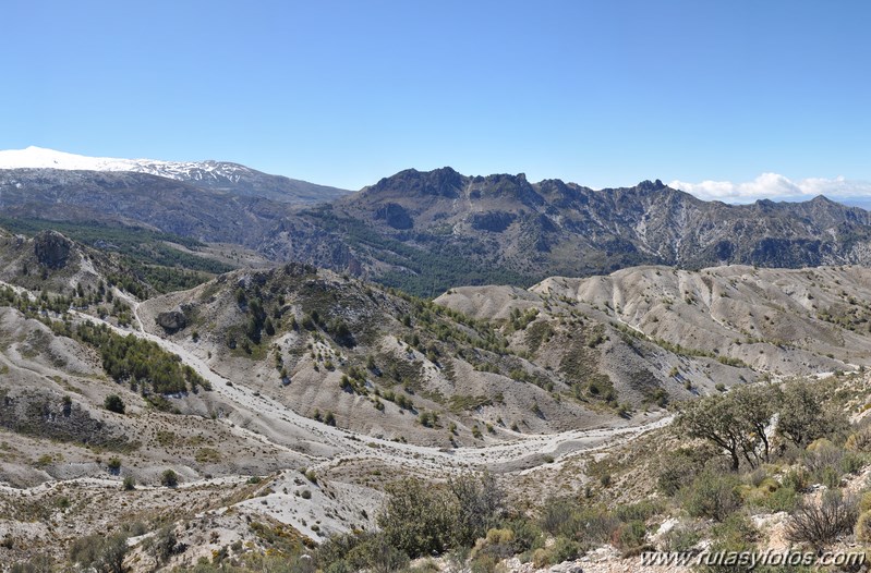 Trevenque - Cerro del Cocón - Cerro Gordo - Pico de la Carne