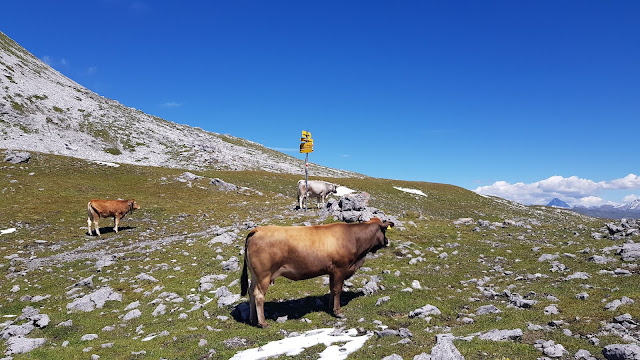 Alteiner Fürggli