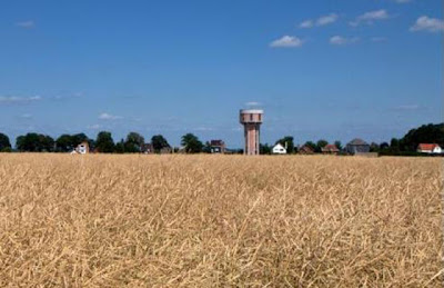 Water Towers Transformed   into Houses Seen On www.coolpicturegallery.us