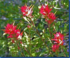 RESIZED FOR SCREEN VIEWING #2 7-18-2010 11-55-37 AM 7-17-2010 9-41-04 AM