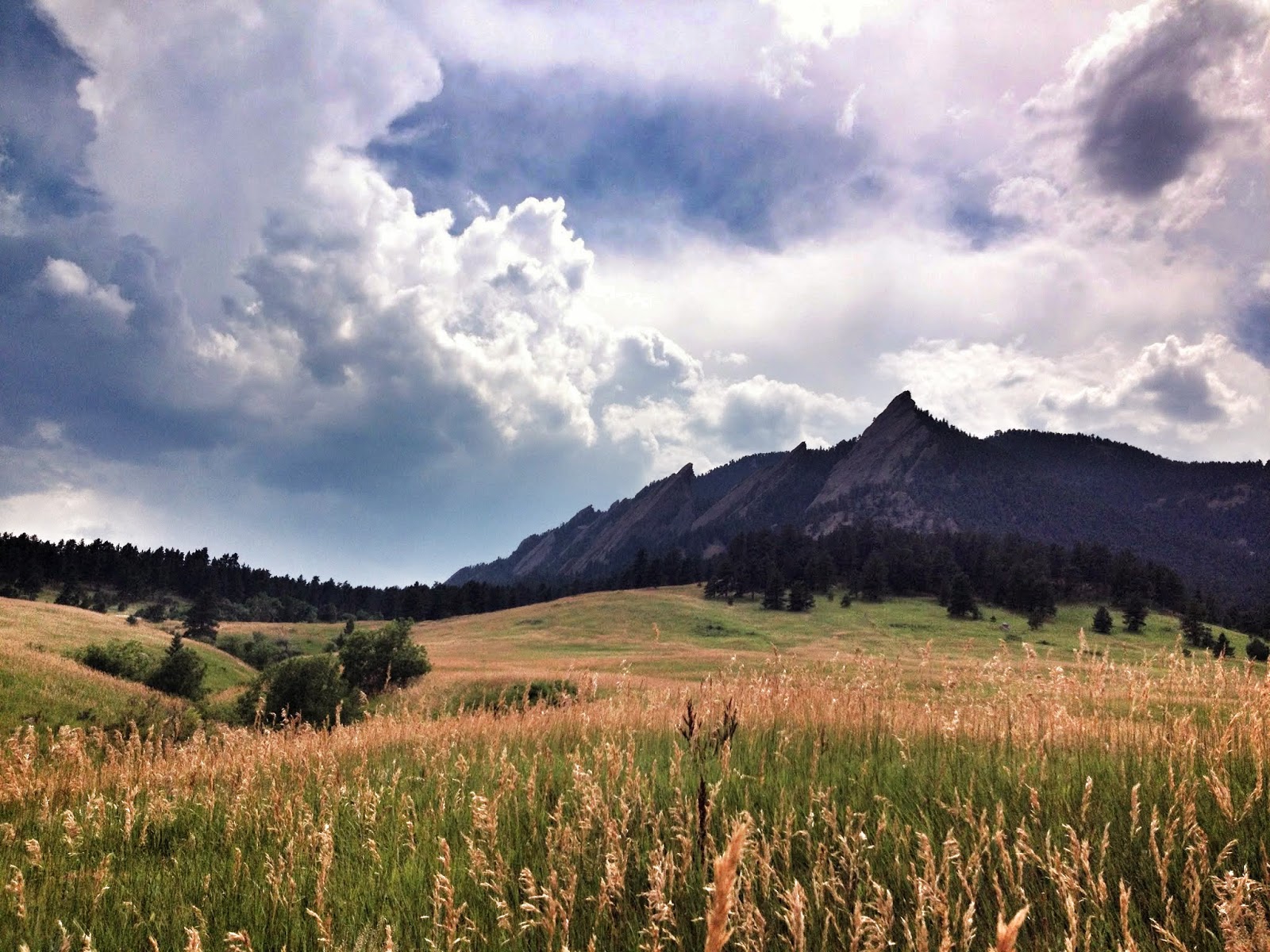 OWA Reviews: REI Outdoor School's Colorado 14er Training Hike ...