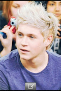 Niall Horan Up Hairstyle