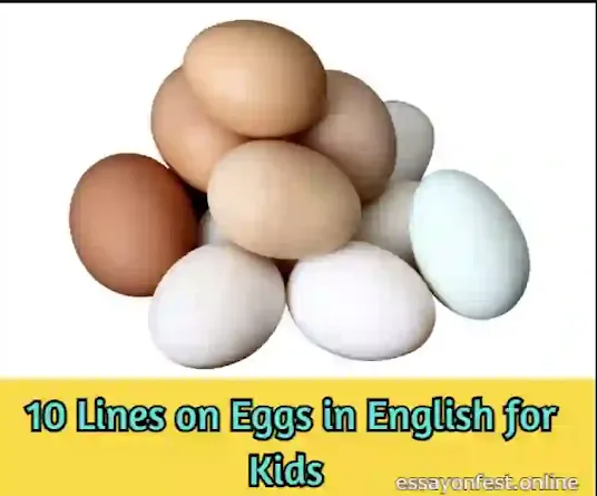 10 Lines on Eggs in English for Kids