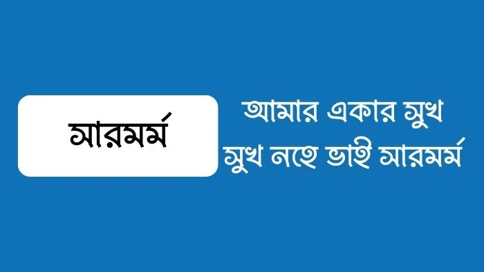 আমার একার সুখ সুখ নহে ভাই সারমর্ম