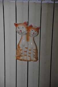 cat 013