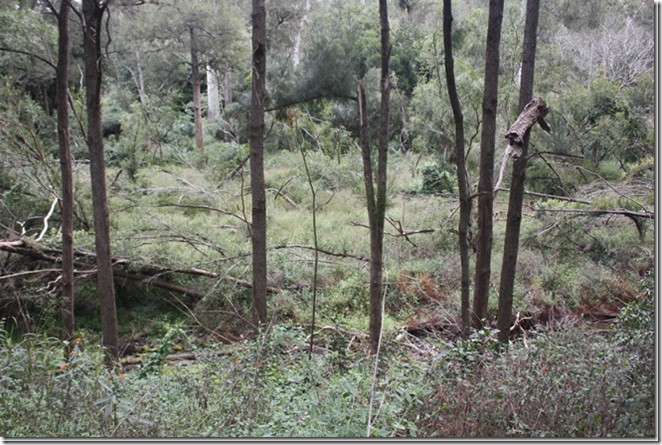 clip_image023