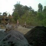 View album