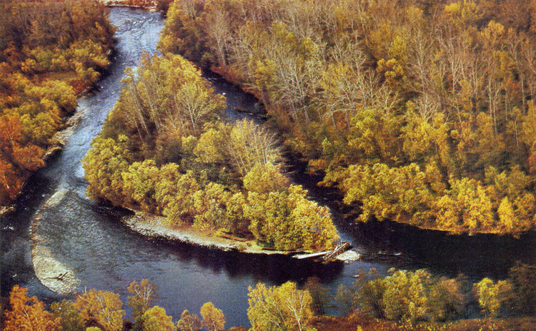 Водоохранные леса на реке Быстрая (Камчатка)