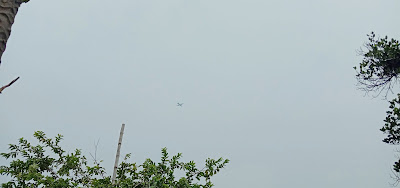Indian airplane images and photos of airlines flight