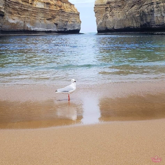 Roteiro de viagem de 20 dias pela Austrália.