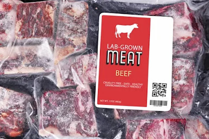  Lab-Created Meat, Potential Food Source of the Future.