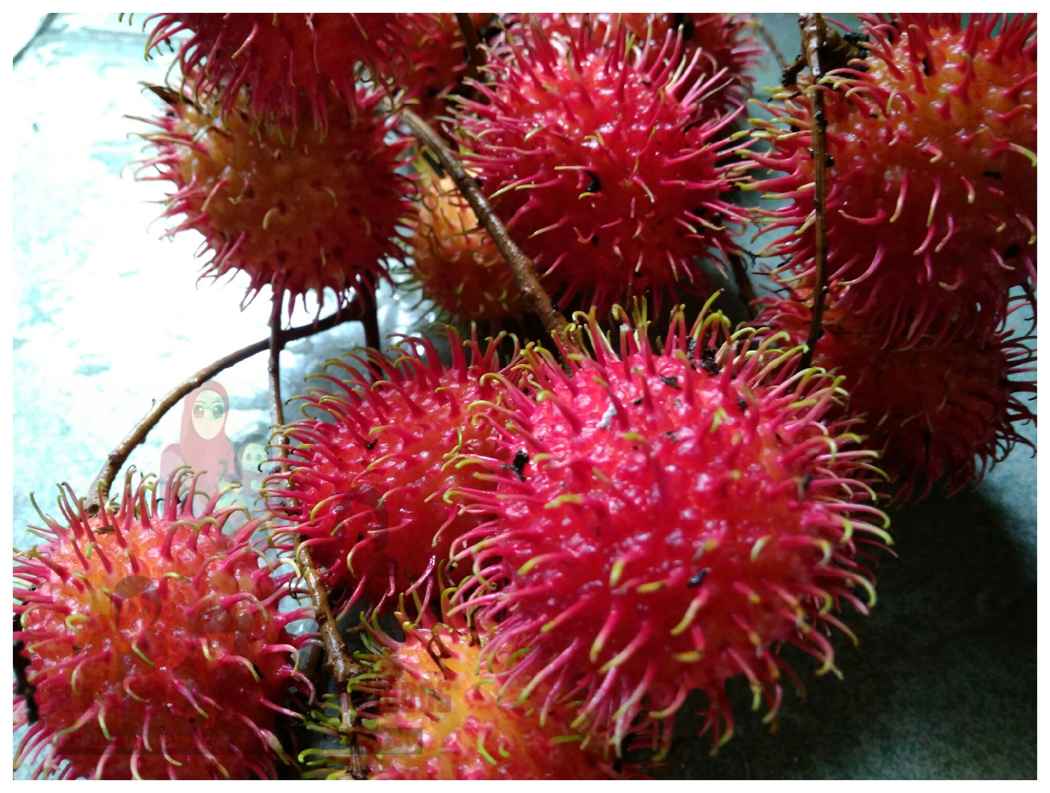 Banyaknya manfaat si buah rambutan.