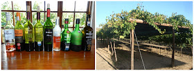 vinícola De Krans, em Calitzdorp, África do Sul