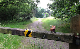 Hayes Common, 20 June 2013.