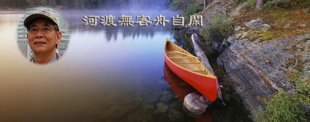 依金贤