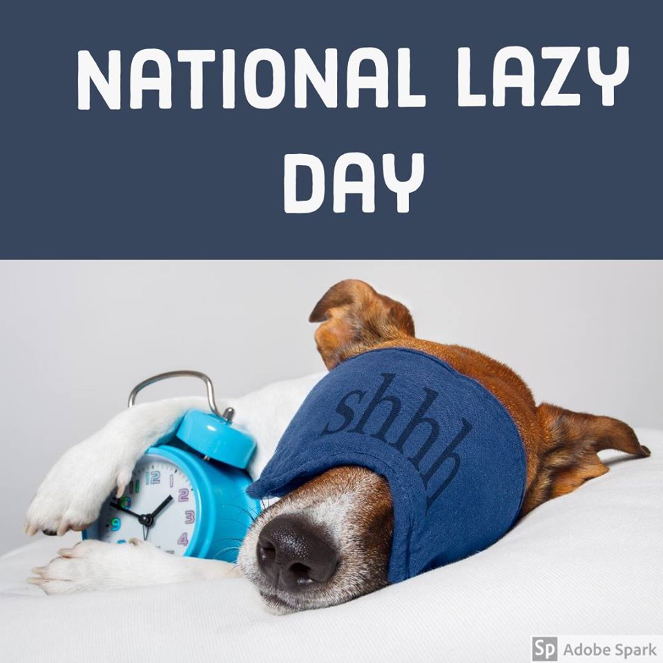 National Lazy Day