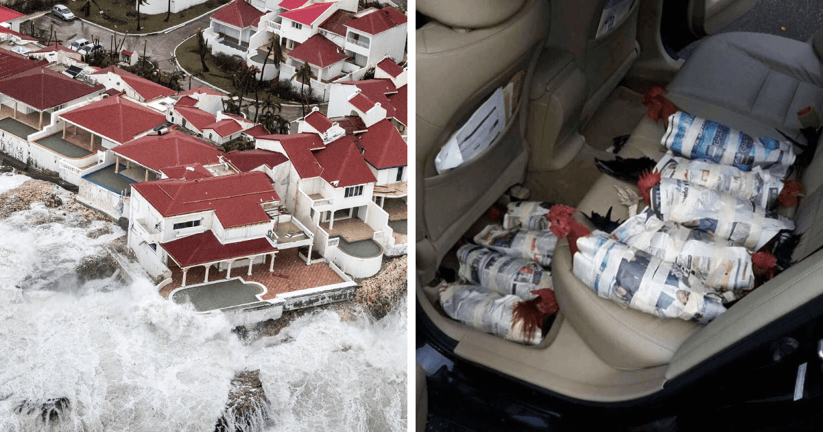 30 Shocking Pictures That Show How Catastrophic Hurricane Irma Is