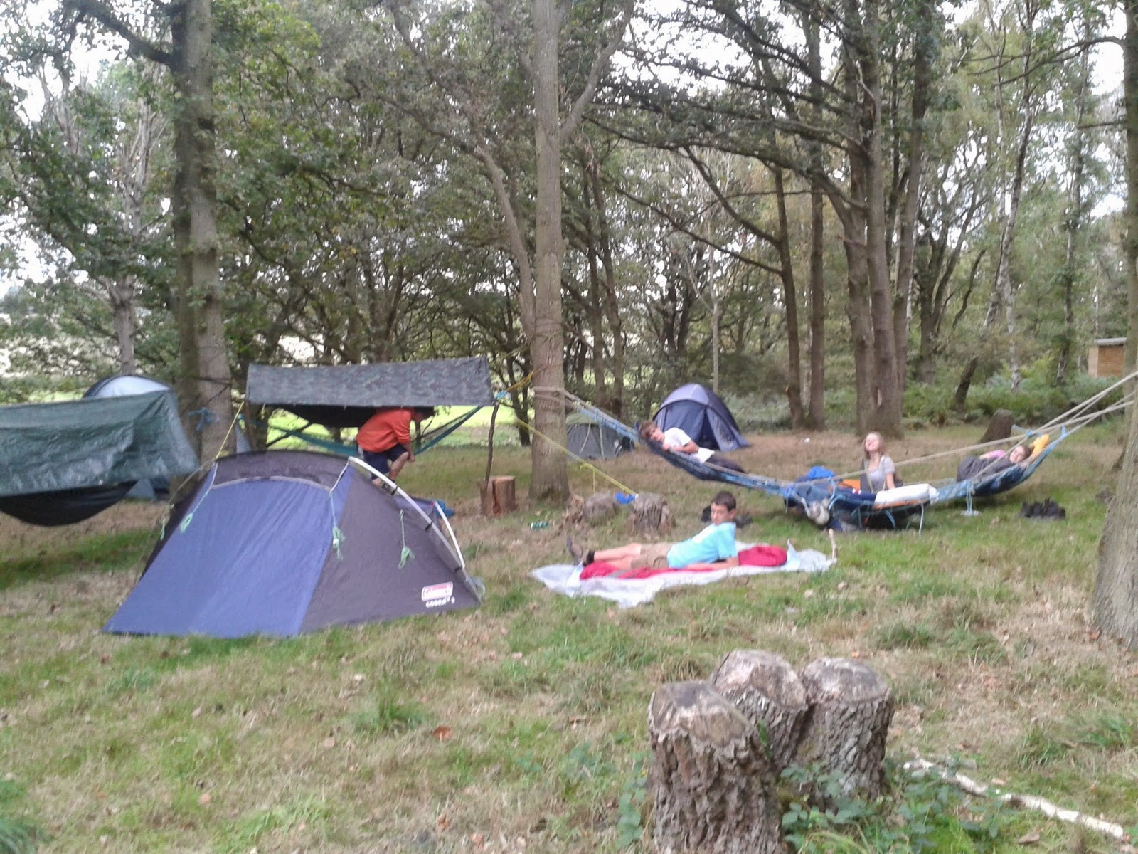 Download Boreatton Explorer Unit: The Trammock camp