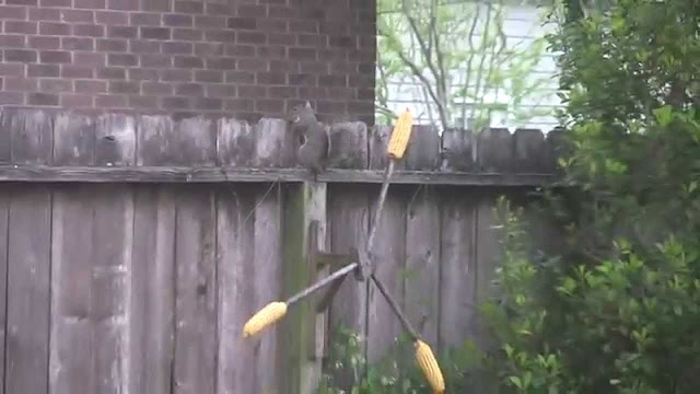 Ferris Wheel Bird Feeder