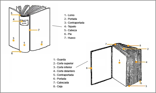 El Libro y sus Partes